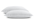 Set 2 Perne Non Alergenice, 70 x 70cm C671